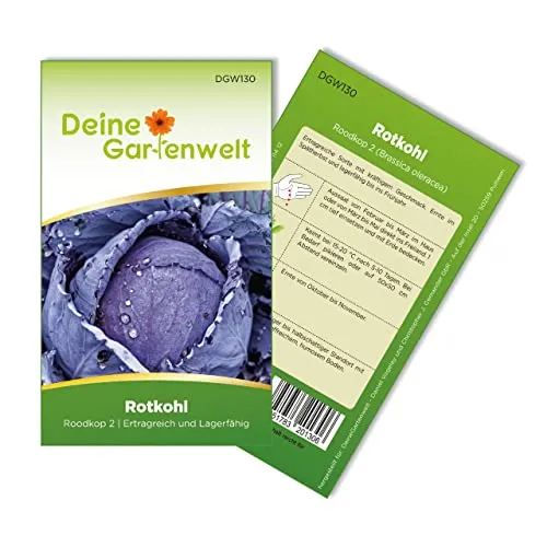 Rotkohl Roodkop 2 Samen - Brassica oleracea - Rotkohlsamen - Gemüsesamen - Saatgut für 120 Pflanzen