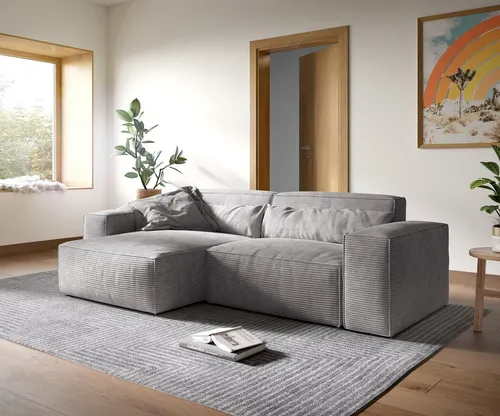 Sofas Grau von Delife
