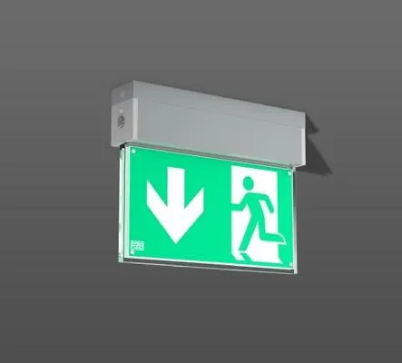 RZB 671983.004.2 Notleuchte Wand-Deckenleuchte von RZB