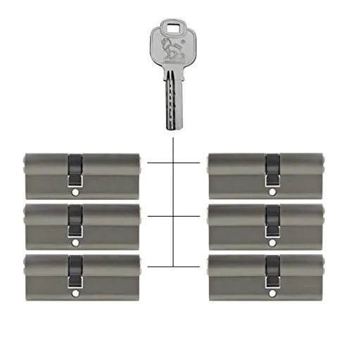 6x Profilzylinder 70 mm 30/40 gleichschließend inkl. 30 Schlüssel