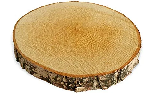 Große Holzscheiben zum Basteln oder Dekorieren - 3 naturbelassene Birkenholz Baumscheibe in 20-25 cm Durchmesser - runde Holz Birkenscheiben als Deko Holzplatte Holzdeko