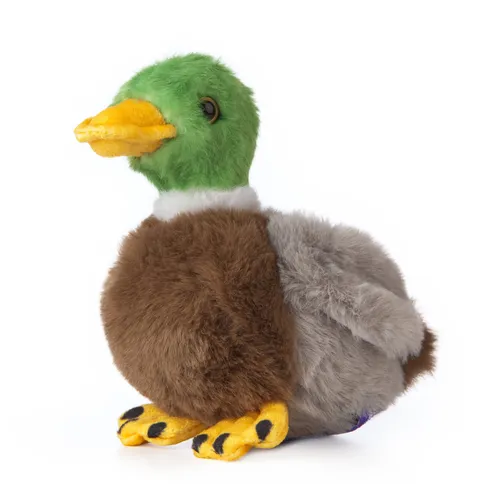 Mini-Ente, Stockente Erpel Plüschtier Stofftier Plüsch Kuscheltier NEU  H=11 cm