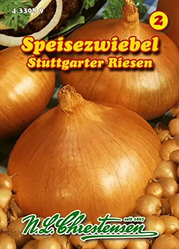 Zwiebel Stuttgarter Riesen (Portion)