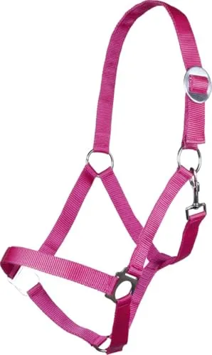 HKM Stars Economy Softice Halfter pink Kaltblut
