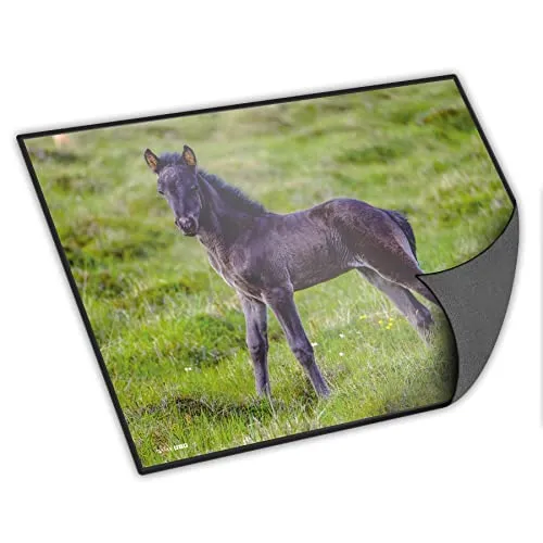 itenga Schreibtischunterlage mit Tiermotiv abwischbar rutschfest glatt 40x53cm Kunststoff Schreibunterlage (Motiv Pferd)