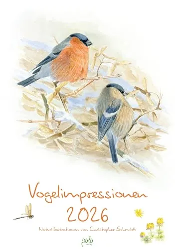 Vogelimpressionen 2026: Naturillustrationen von Christopher Schmidt