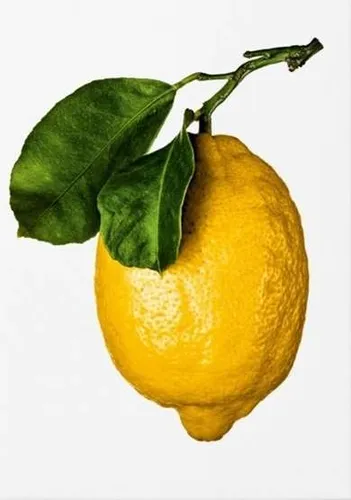 The Gourmand's Lemon: A Collection of Stories and Recipes