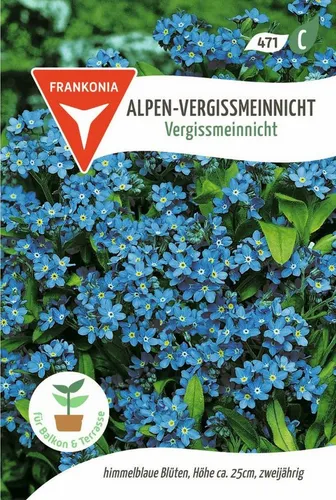 FRANKONIA Blumensamen Alpen-Vergissmeinnicht, Vergissmeinnicht - Saatgut Samen, Myosotis alpestris
