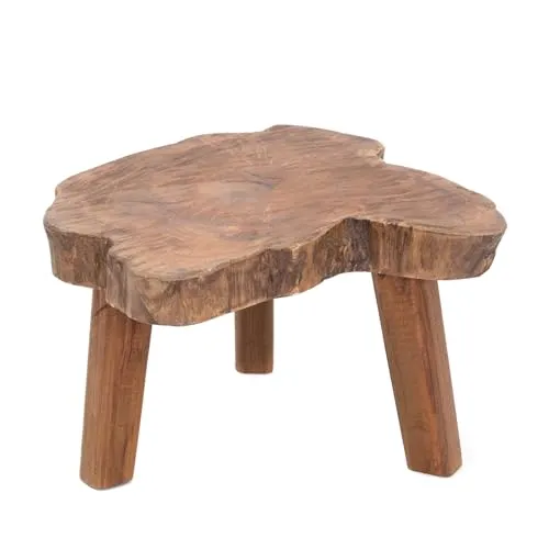 CREEDWOOD Pflanzen HOCKER Slice – Massivholz Beistelltisch in beige von CREEDWOOD