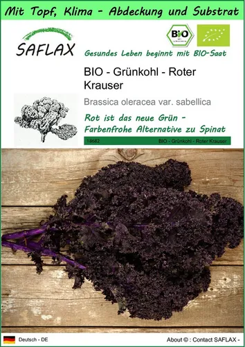 SAFLAX Gemüsesamen SAFLAX - Garden to go - BIO - Grünkohl - Roter Krauser
