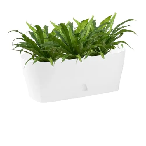 Engelland - 1 x Blumenkasten mit Untersetzer, Weiß, Balkonkasten, Pflanztopf, 25 cm, Tischdeko, für Garten, Terrasse, Fensterbank, mit Wasserauffangschale, Innen- & Außenbereich, 1,7 Liter