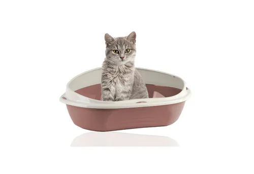 Rohrschneider Katzenecktoilette Eckiges Katzenklo Katzentoilette groß mit hohem Rand, platzsparend