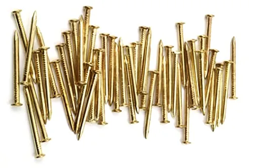 Design61 50x Stahlstifte Stahlnägel Sockelleistenstifte Nagel 3,0 x 40 mm Linsenkopf vermessingt