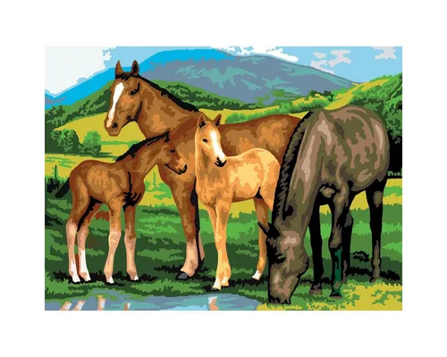 Pracht Malen nach Zahlen PRACHT Malen nach Zahlen Junior Stute 40x32,5cm