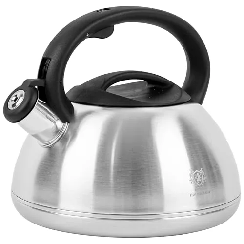 KARL HAUSMANN Wasserkessel Induktion 3L