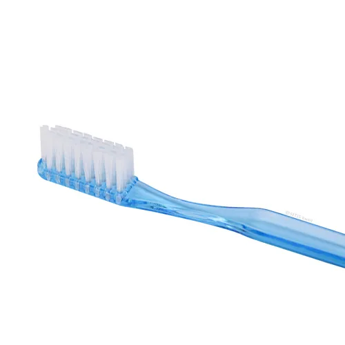 Einmalzahnbürsten Einweg Zahnbürste mit Zahnpasta Einmal Zahnbürste 10