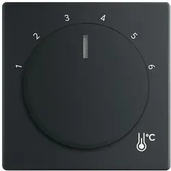 Busch-Jaeger 1794 R-885 Zentralscheibe für Raumtemperaturregler, schwarz matt, Plattform 63