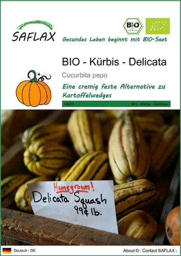 SAFLAX Gemüsesamen SAFLAX - Samen - BIO - Kürbis - Delicata