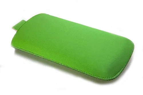 caseroxx Etui für Samsung Galaxy Young GT-S6310 S6310N, Tasche (Etui in grün)