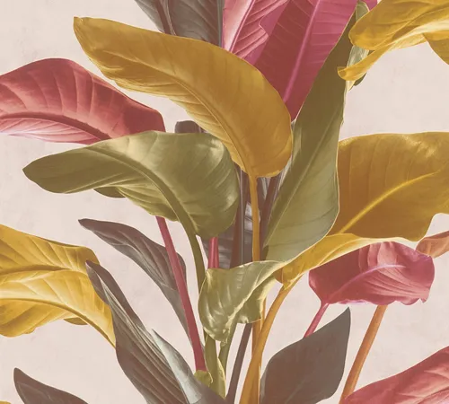 Tapeten Rot von Livingwalls