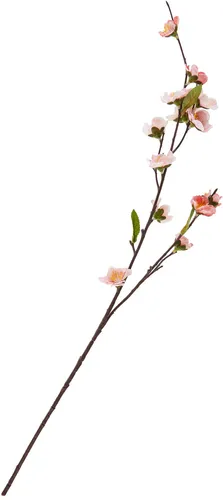 DPI Kirschblütenzweig Peach 70 cm Dekozweig Kunstblume 1 Stück