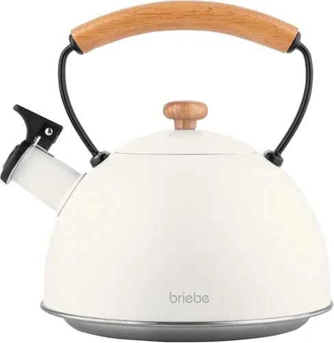 briebe Nordic Wasserkessel Induktion 2,3L - Vielseitiger Wasserkocher für alle Herdarten mit ergonomischem Holzgriff, ideal für Tee und Kaffee und im skandinavischen Design.