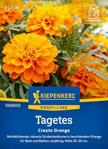 Produktbild Kiepenkerl Profi-Line Tagetessamen Cresto Orange 1068050