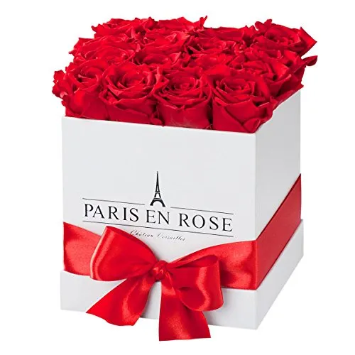 PARIS EN ROSE Rosenbox ECKIG | mit 12 roten Infinity Rosen Größe XL | eckige, weiße Box mit Schleife | ewige Rose | 3 Jahre haltbar | Grußkarte