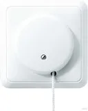 Jung 5506ZUWW Zug-Wechselschalter von Jung