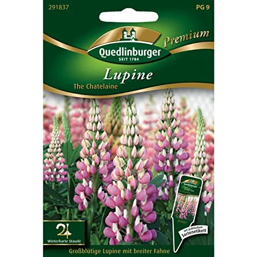 Lupine, The Chatelaine von Quedlinburger