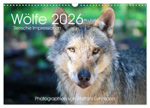 Wölfe 2026. Tierische Impressionen - Wandkalender - Wandkalender 2026 im DIN A3 Format mit 12 beeindruckenden Wolfsbildern. Ideal für Tierliebhaber und Fotokunst-Enthusiasten.