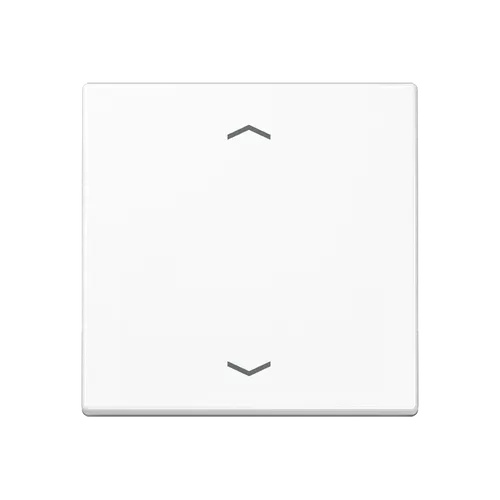 Jung Steuertaste Standard 