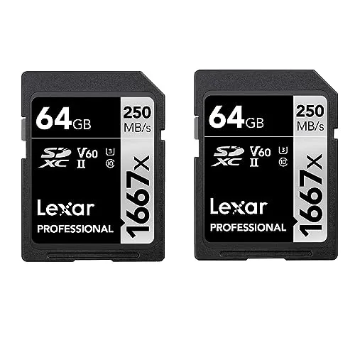 Lexar Professional 1667x SD Karte 64GB 2er-Pack, Speicherkarte SDXC UHS-II, Bis zu 250 MB/s Lesen, Class 10, U3, V60, SD für Professionelle Fotografen, Videofilmer, Enthusiasten (LSD1667064G-B2NAA)