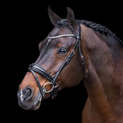 Trense IRH-Olympia