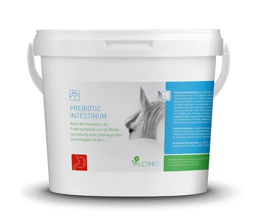 Valetumed Prebiotic Intestinum