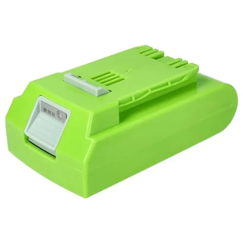 vhbw Akku Ersatz für Greenworks 29322, 29807, 29837, 29842, 29852, G24B2 für Elektrowerkzeug (2000 mAh, Li-Ion, 24 V)