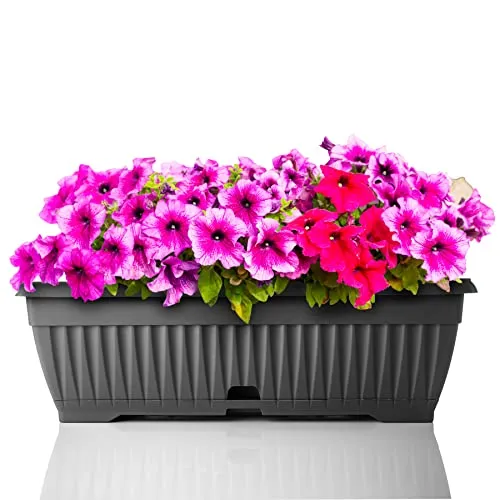 BigDean Blumenkasten Anthrazit 50 cm mit abnehmbarem Untersetzer - Vielseitiger Pflanzkasten für Innen- und Außenbereich. Mit Wasserspeicher für optimale Bewässerung. Robustes, bruchsicheres Material sorgt für Langlebigkeit und bringt Farbe auf Balkon oder Fensterbank.