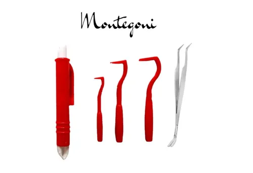 Montegoni Zeckenpinzette Edelstahl Kunststoff Zeckenentferner, Profi Zeckenhaken 5 Set, Zeckenzange Zeckenpinzette Zeckenhaken Zeckenhebel, Zeckenentfernung fur Mensch und Tier