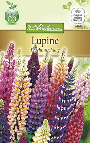 Chrestensen Lupine 'Prachtmischung'