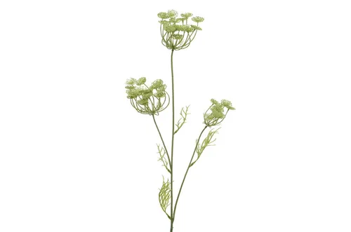 Queen Anne Zweig Dekozweig Kunstzweig Kunstblume grün