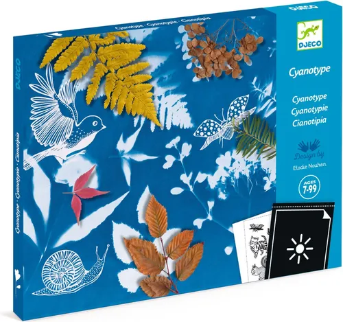 Workshop zur Erstellung von Cyanotypien, Djeco von Djeco