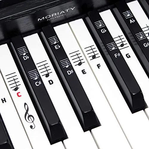 MORIATY® Klavier Noten-Aufkleber für 49-88 Tasten - E-Piano Zubehör mit hochwertigen Vinyl-Aufklebern für schnelle Noten-Lernhilfe. Ideal für Anfänger, leicht aufzubringen und rückstandslos zu entfernen. Inklusive gratis E-Book mit Tipps für den Einstieg!