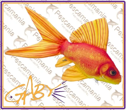 Kissen GOLDFISH Goldfisch Geschenkidee Angeln Angler Plüschtier Gaby Kissen