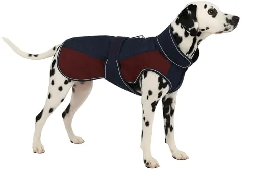 Flamingo Hundemantel Winter – Eisberg Dunkelblau & Bordeaux – XXL 60cm
