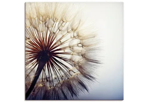 ARTLAND Wanddeko Leinwandbilder – Pusteblume Modern Kunst in blau von ARTland