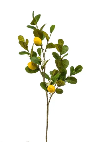 Kunstzweig Deko Zweig Zitrone DUNKAN mit Früchten und Blüten, 95cm - Lebendiger Kunstzweig mit Zitronen und Blüten in strahlendem Gelb. Ideal für die kreative Innenraumgestaltung und als Blickfang in jeder Ecke.