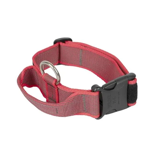 JULIUS-K9 K9-Halsband Color & Gray mit Haltegriff von JULIUS-K9
