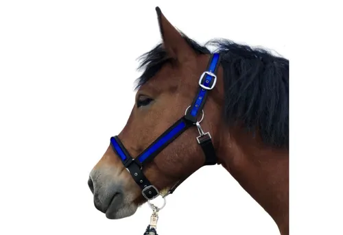 Pferdelinis Halfter für Kaltblut, xfull, 2-fach verstellbar - Standardhalfter, ideal für Kaltblüter, bietet optimale Anpassung durch die 2-fach Verstellbarkeit für höchsten Tragekomfort.