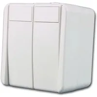 TEM Fontana Doppel Taster Weiß 250V10A AP IP44