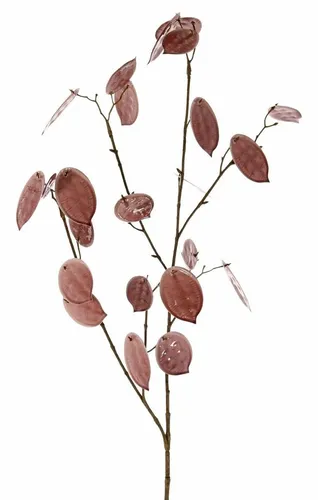 artplants Kunst Zweig Lunaria LOUDIAS, Mauve, 90cm
